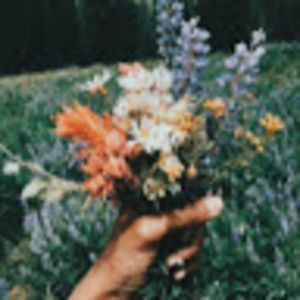 Meet your Posher, Lucy